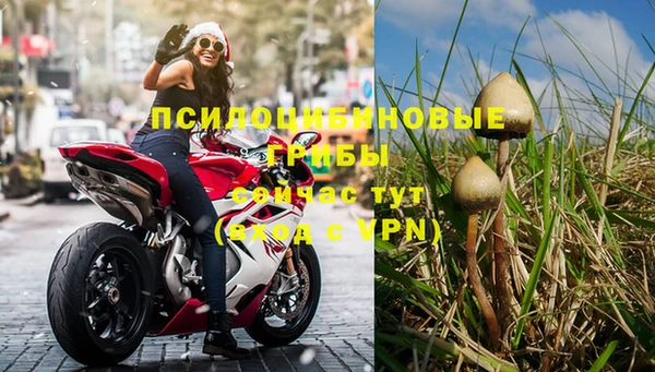 apvp Нефтекумск