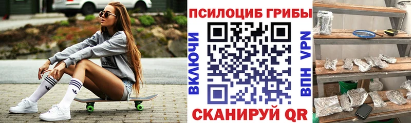 закладки  mega как войти  Псилоцибиновые грибы MAGIC MUSHROOMS  Амурск 