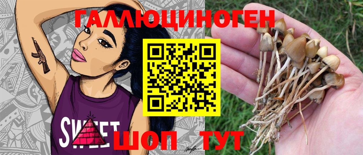 Галлюциногенные грибы ЛСД Амурск
