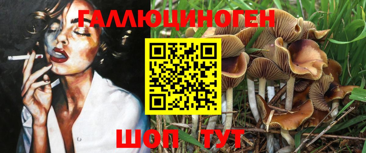Галлюциногенные грибы Psilocybe Амурск