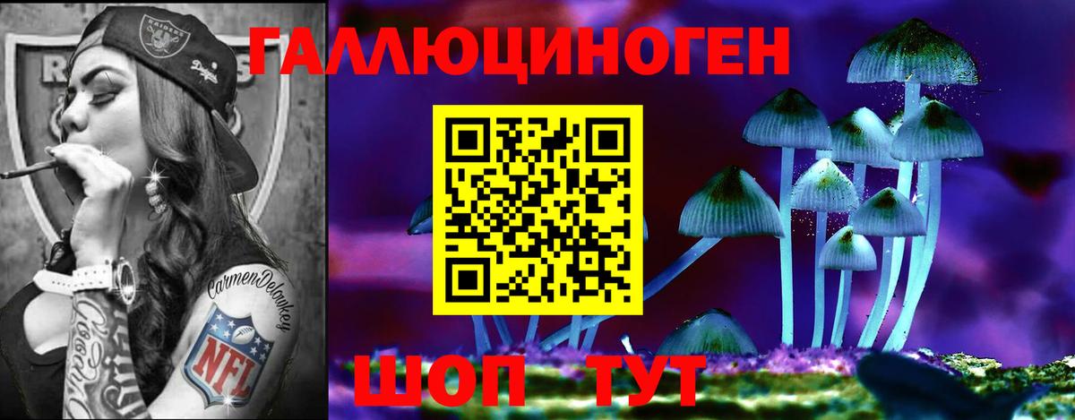 Галлюциногенные грибы Psilocybine cubensis  Вход с VPN  как найти закладки  Амурск 