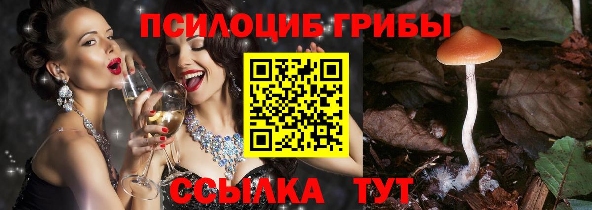 Псилоцибиновые грибы мухоморы  Амурск 