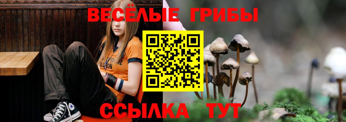 Галлюциногенные грибы ЛСД Амурск
